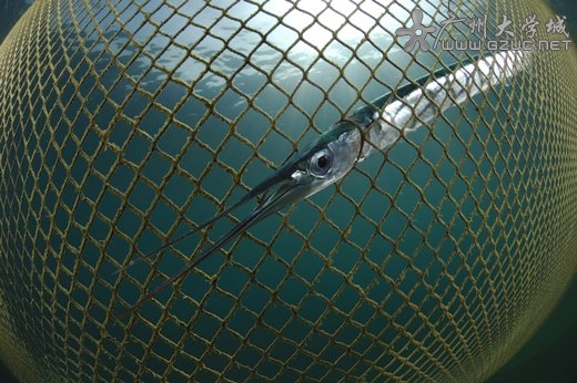 20100722223433302.jpg