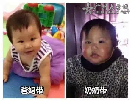 7484502341.jpg